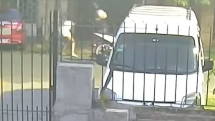 Brutal ataque: baleó a su pareja tras una escena de celos