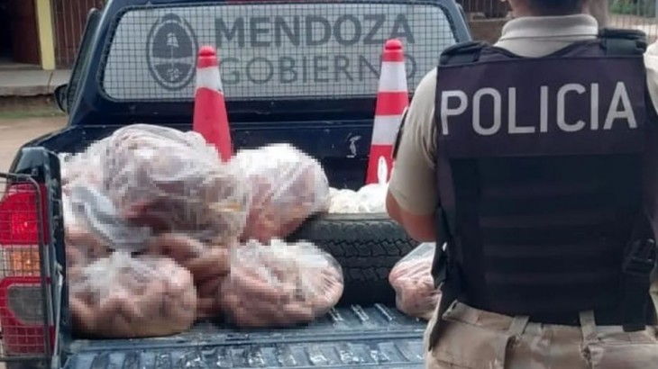 Decomisan carne en mal estado y rescatan aves silvestres en un operativo en General Alvear